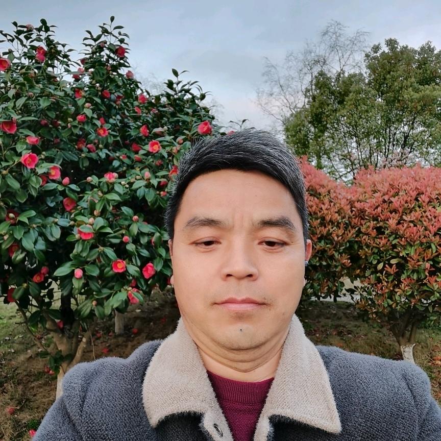 河南乾哥