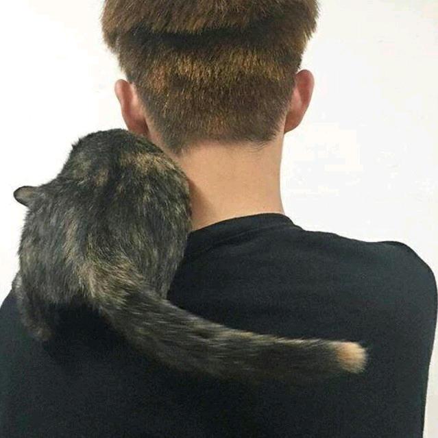 李本善良