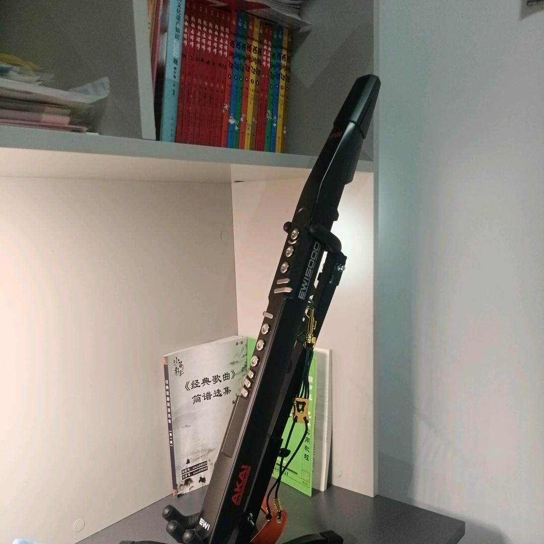 随梦飞翔