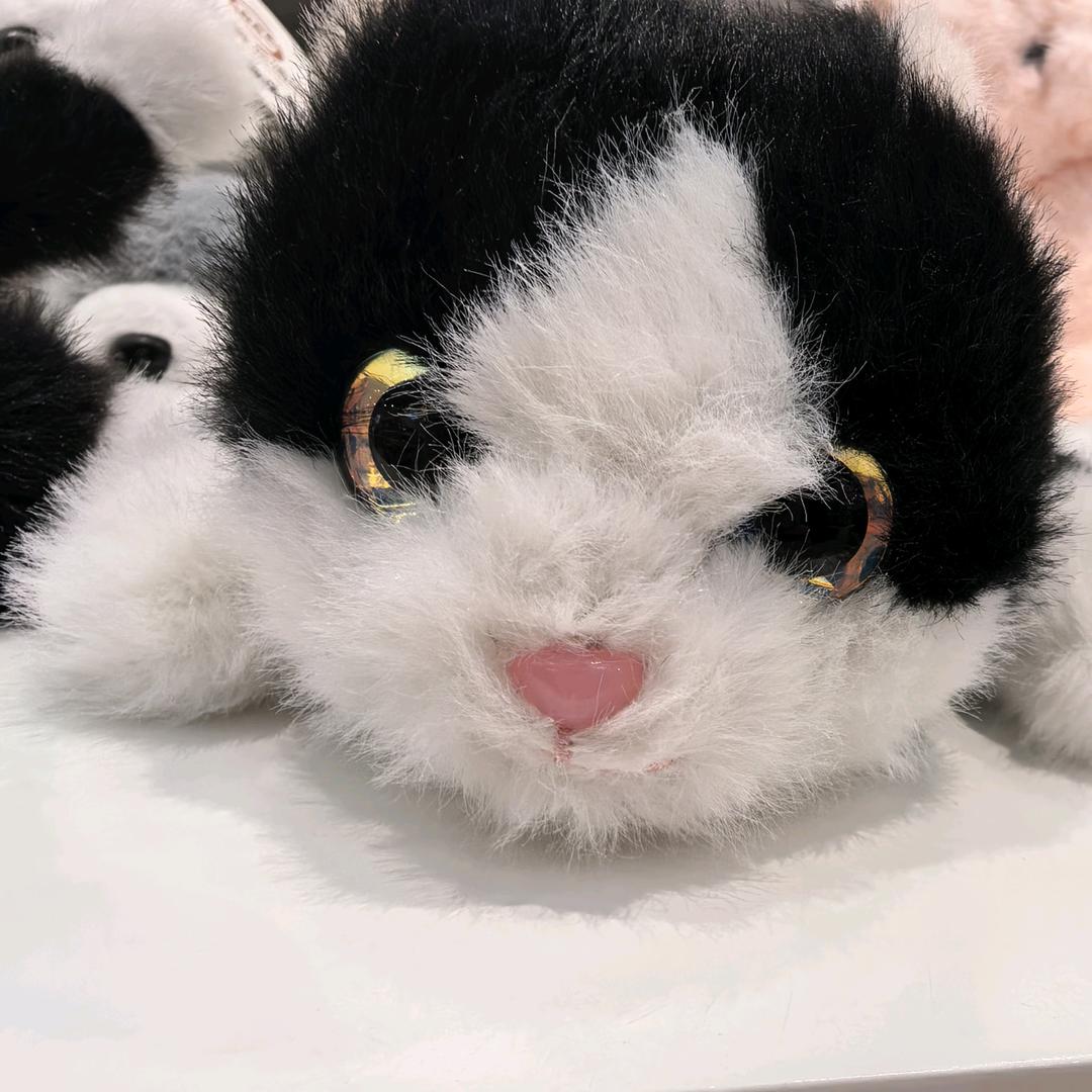 翀