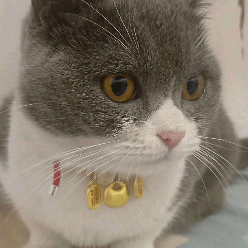 傻子