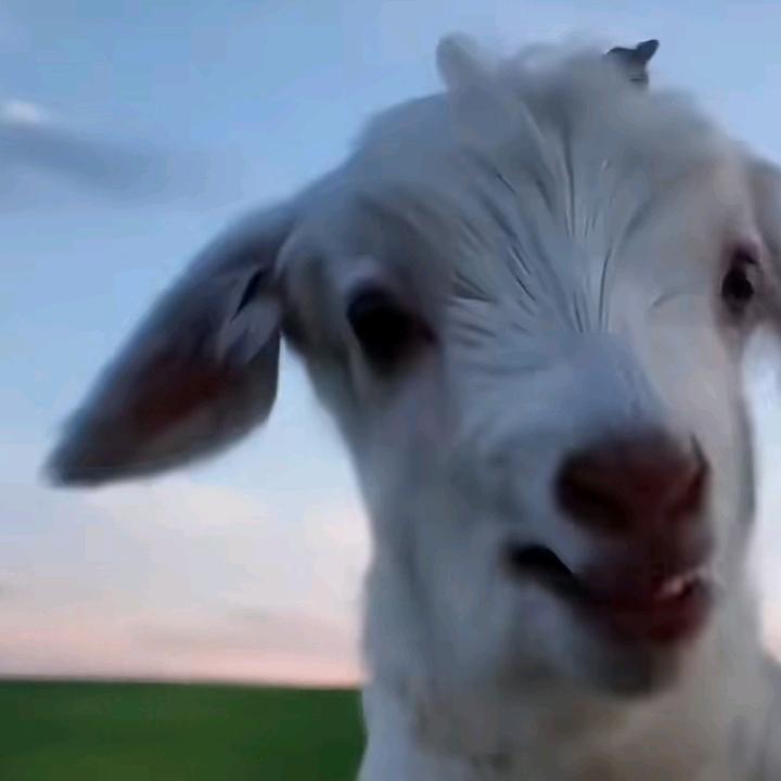 ？