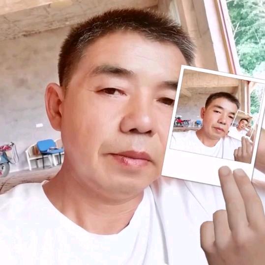 飞歌