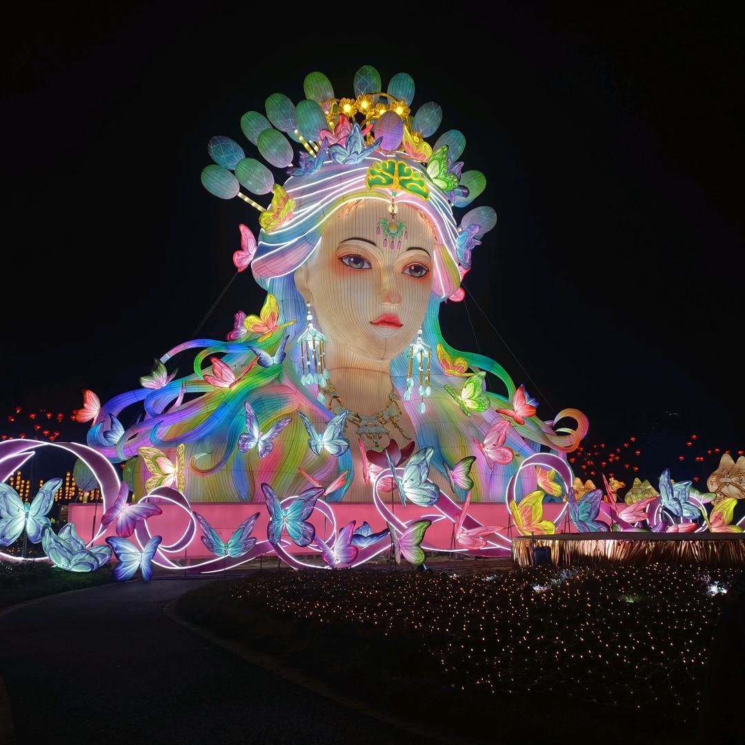 🌺彼岸花开🌵