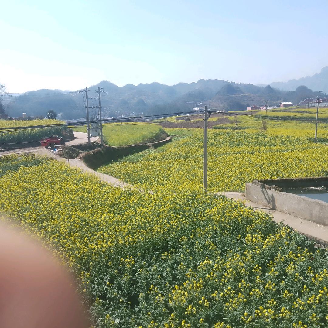 白桥石材