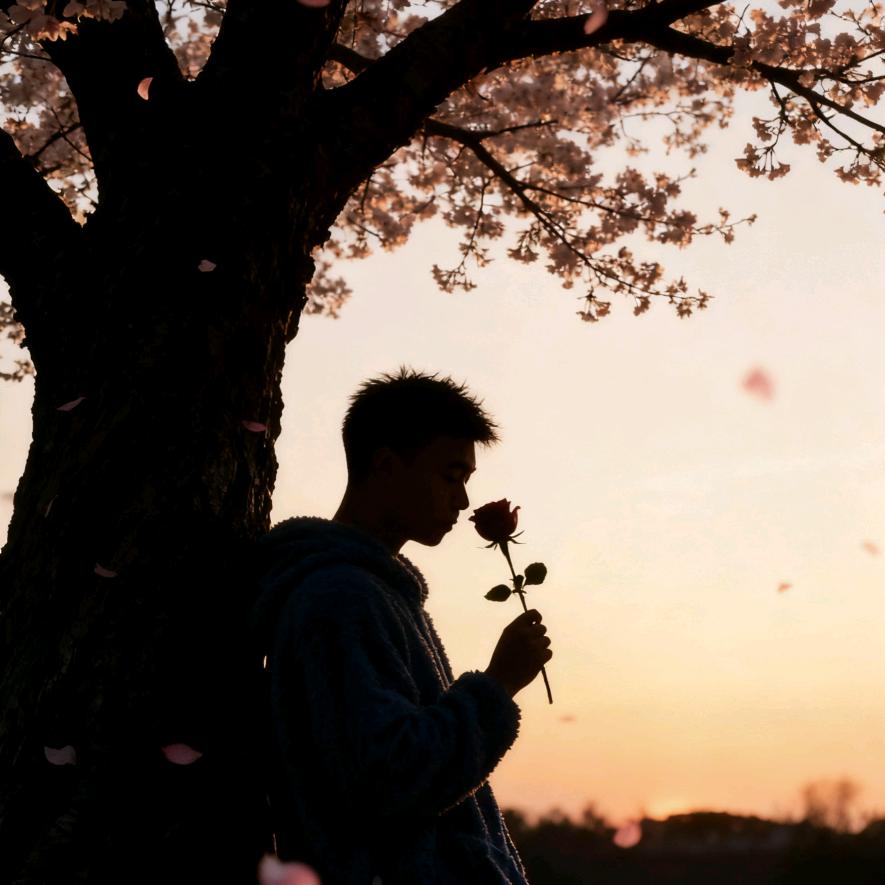 火车驶向云外☁