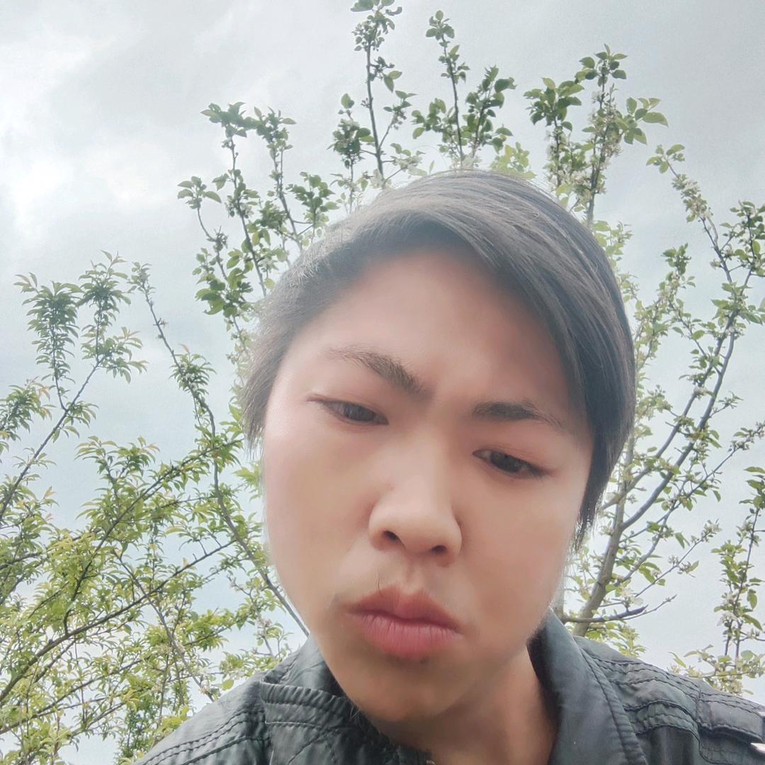 朱伟平