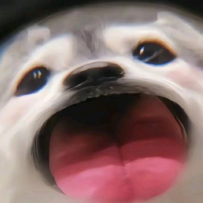 福建分彦