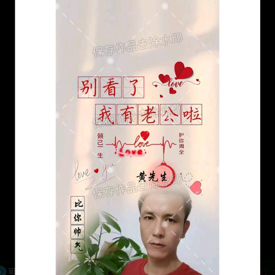 (杨)君子兰
