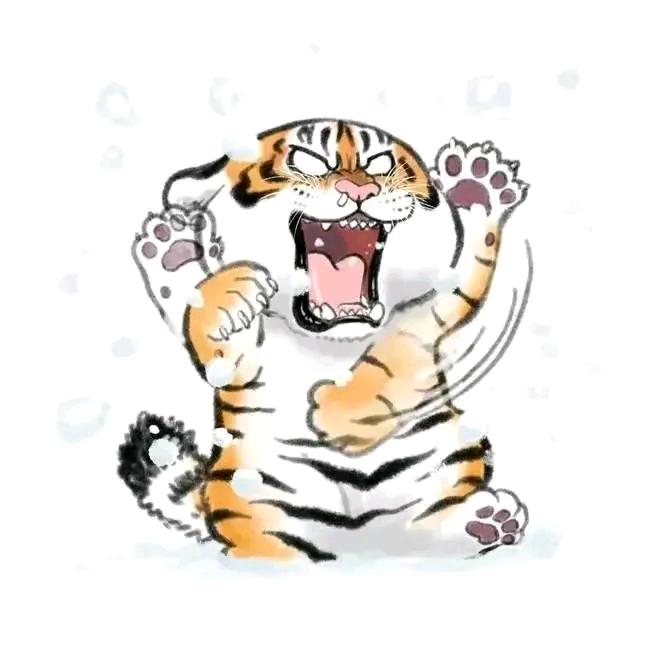 老猫咪