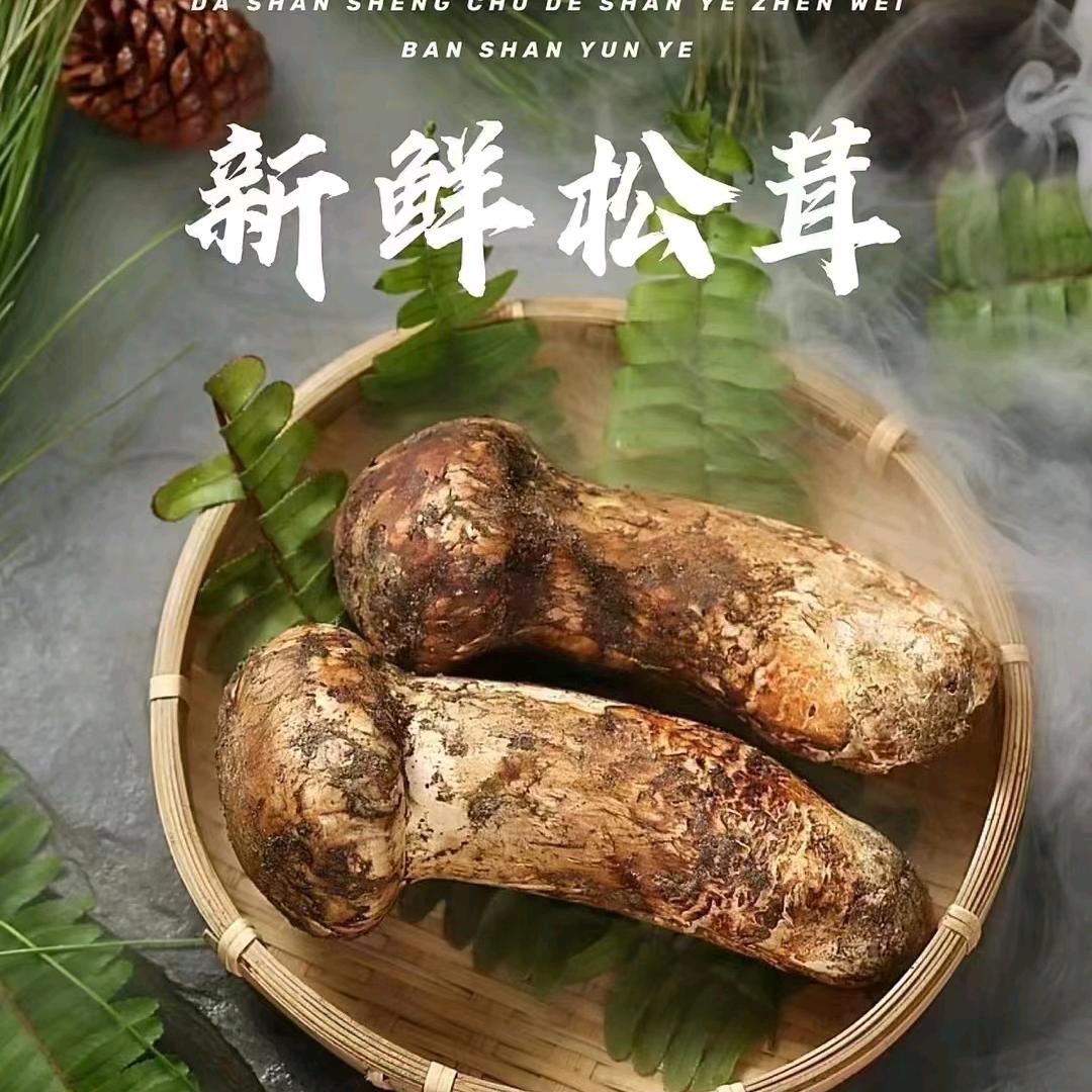 松茸张鲜生