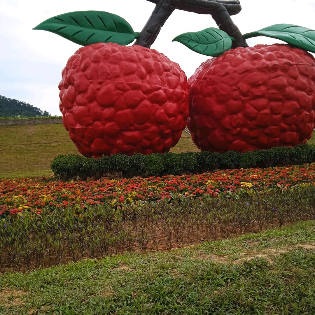 飞向天空✨