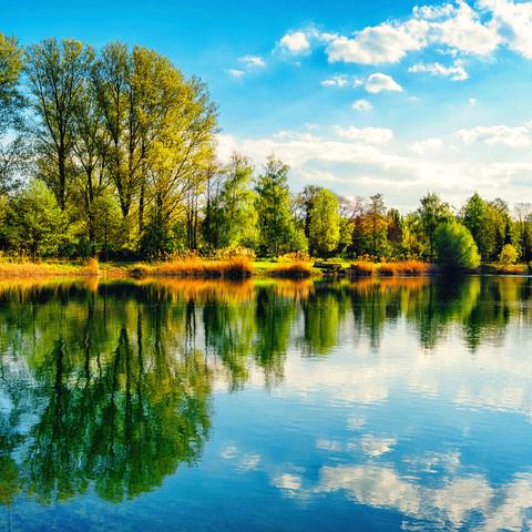 想你的夜想你的美