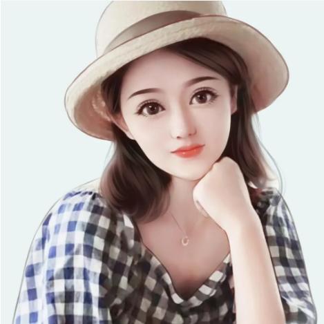 河南鸿运信息咨询
