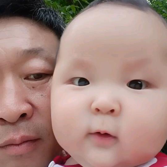 瞧这一窝子