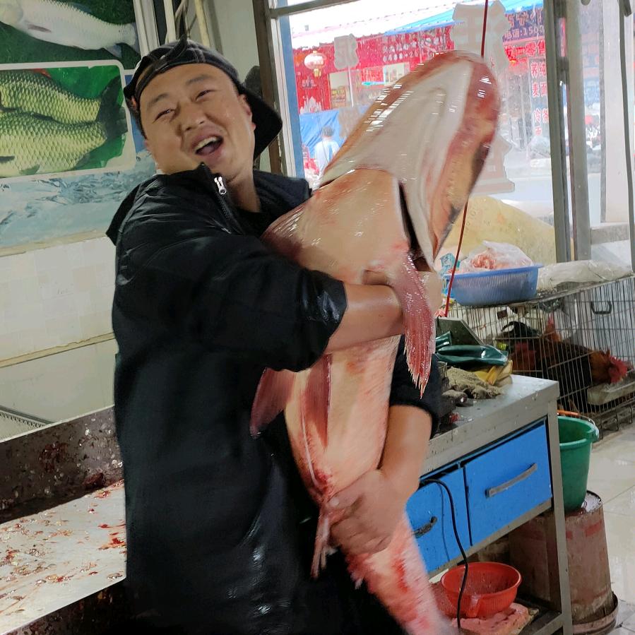 延吉活鱼批发行