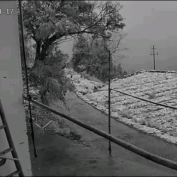 小土豆
