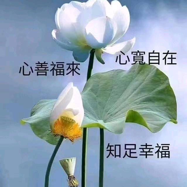 叶大