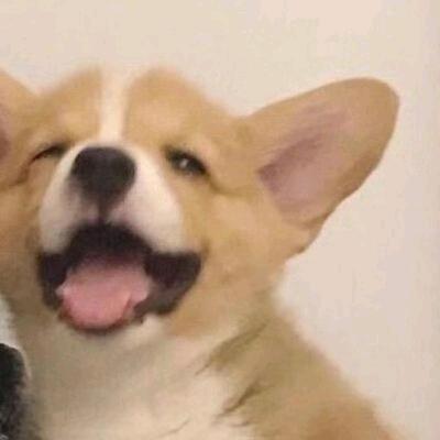 李十一