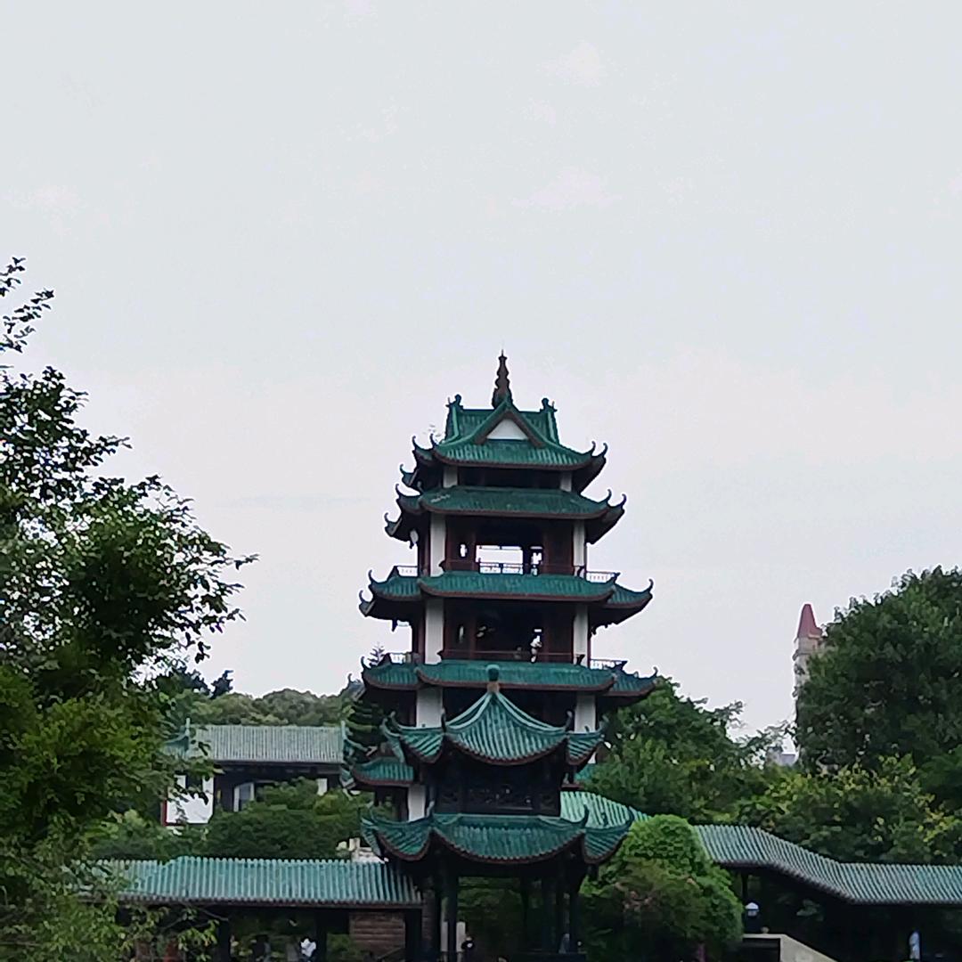 自游