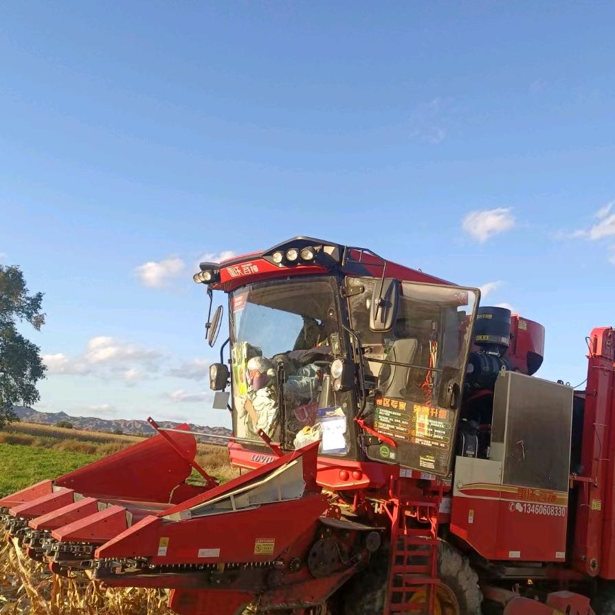 (续♡写‿青♡春)