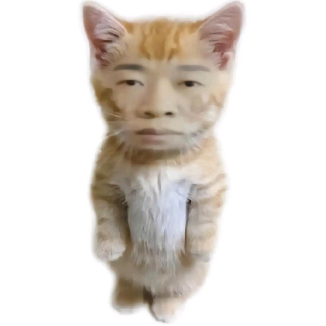 尽头y