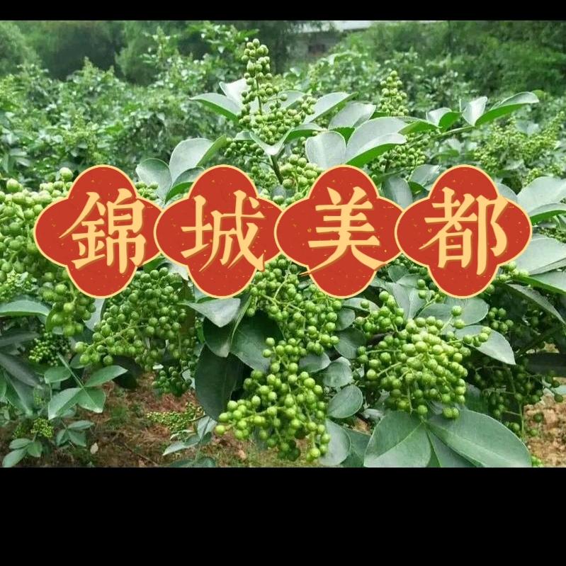 锦城美都 辣椒，花椒，香辛料