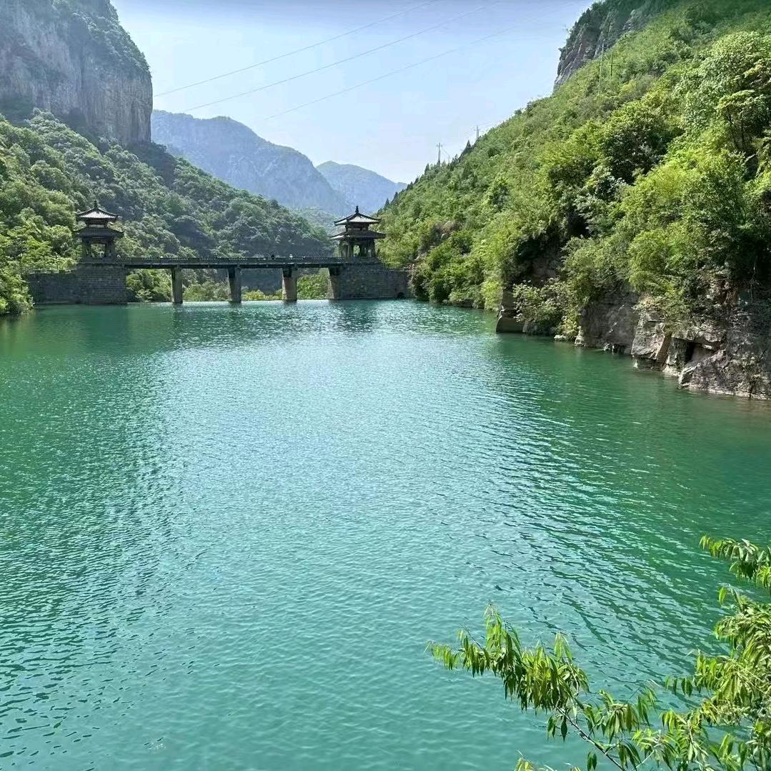 河南阿强