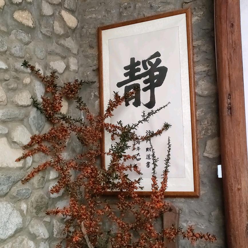 莲