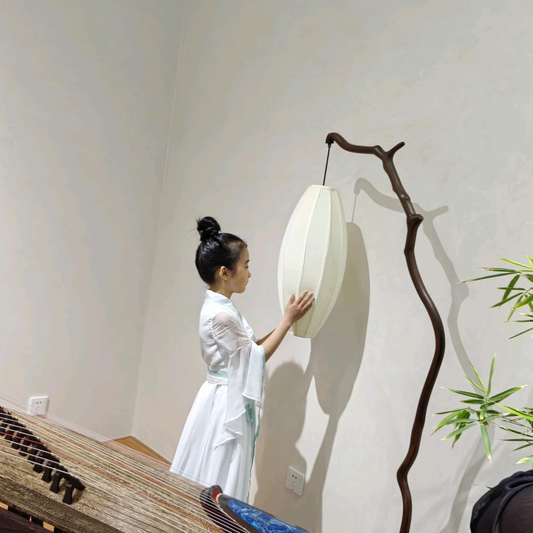 阳光下的忘忧草