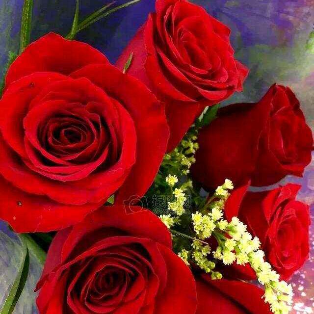 让泪化作相思雨