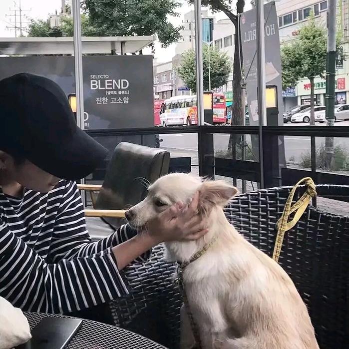 带你吃火锅、