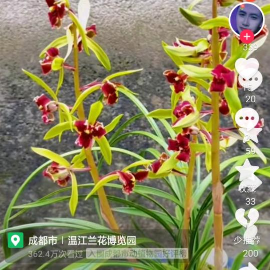 没共同语言