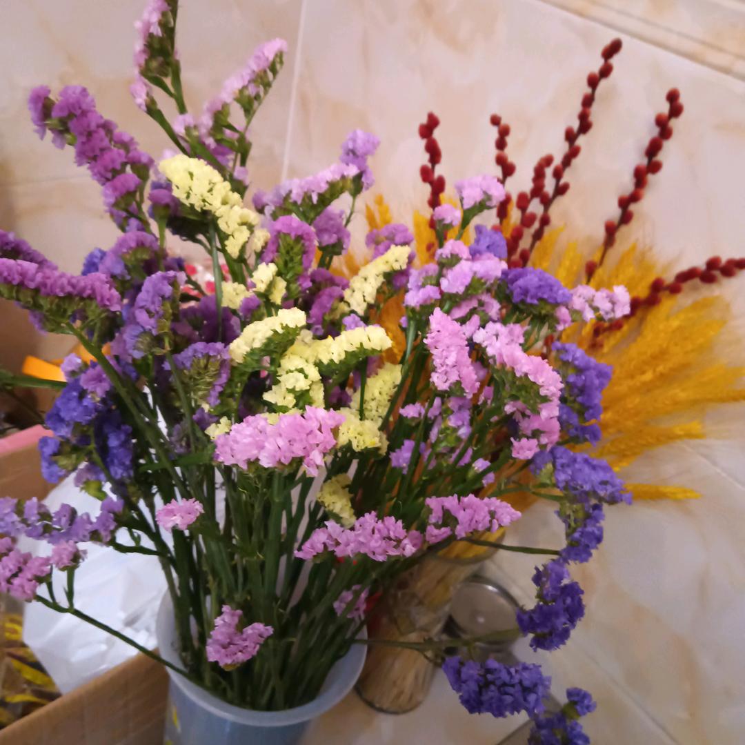 会泽幺妹高艳💋