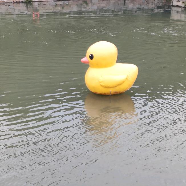 掏我兜