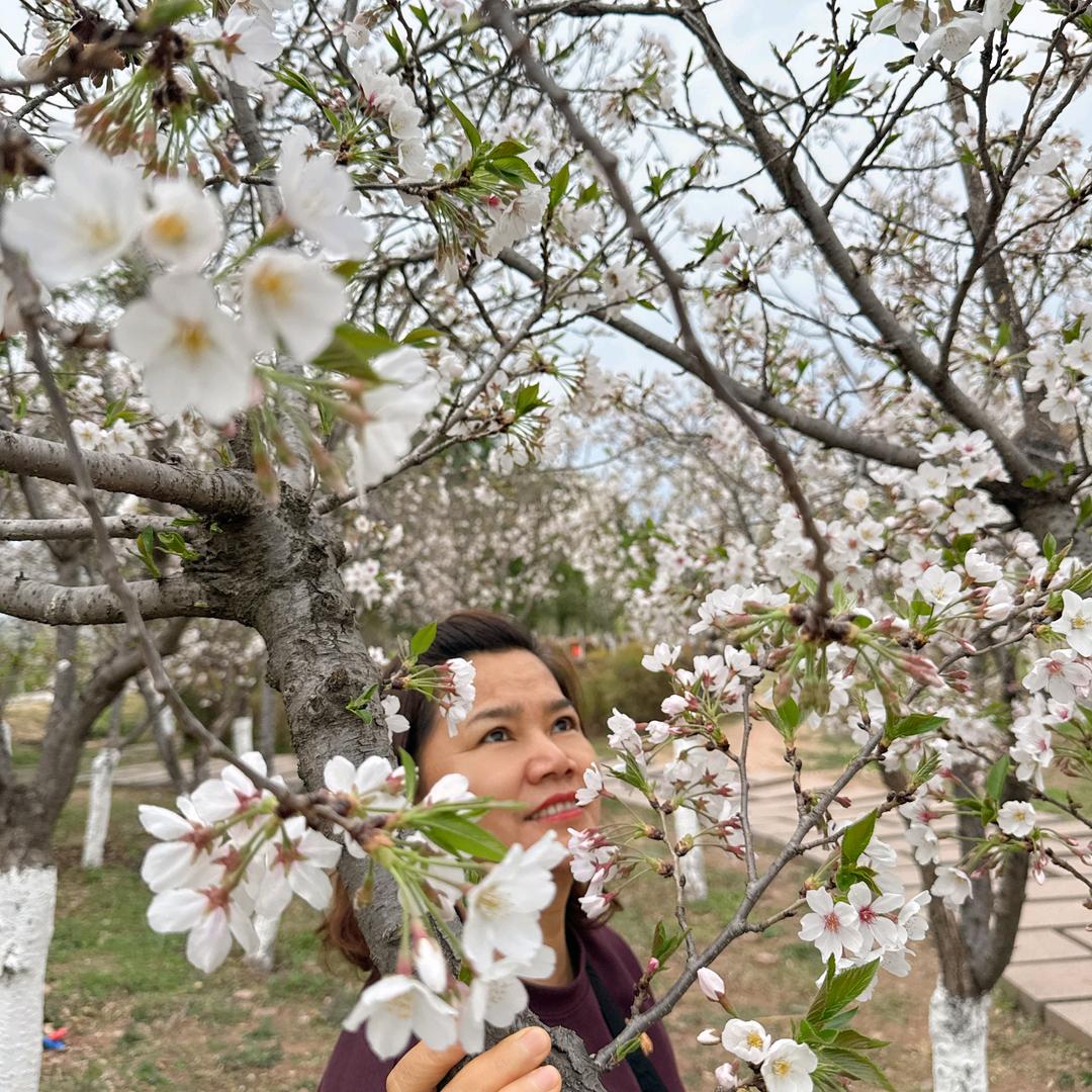 玲子