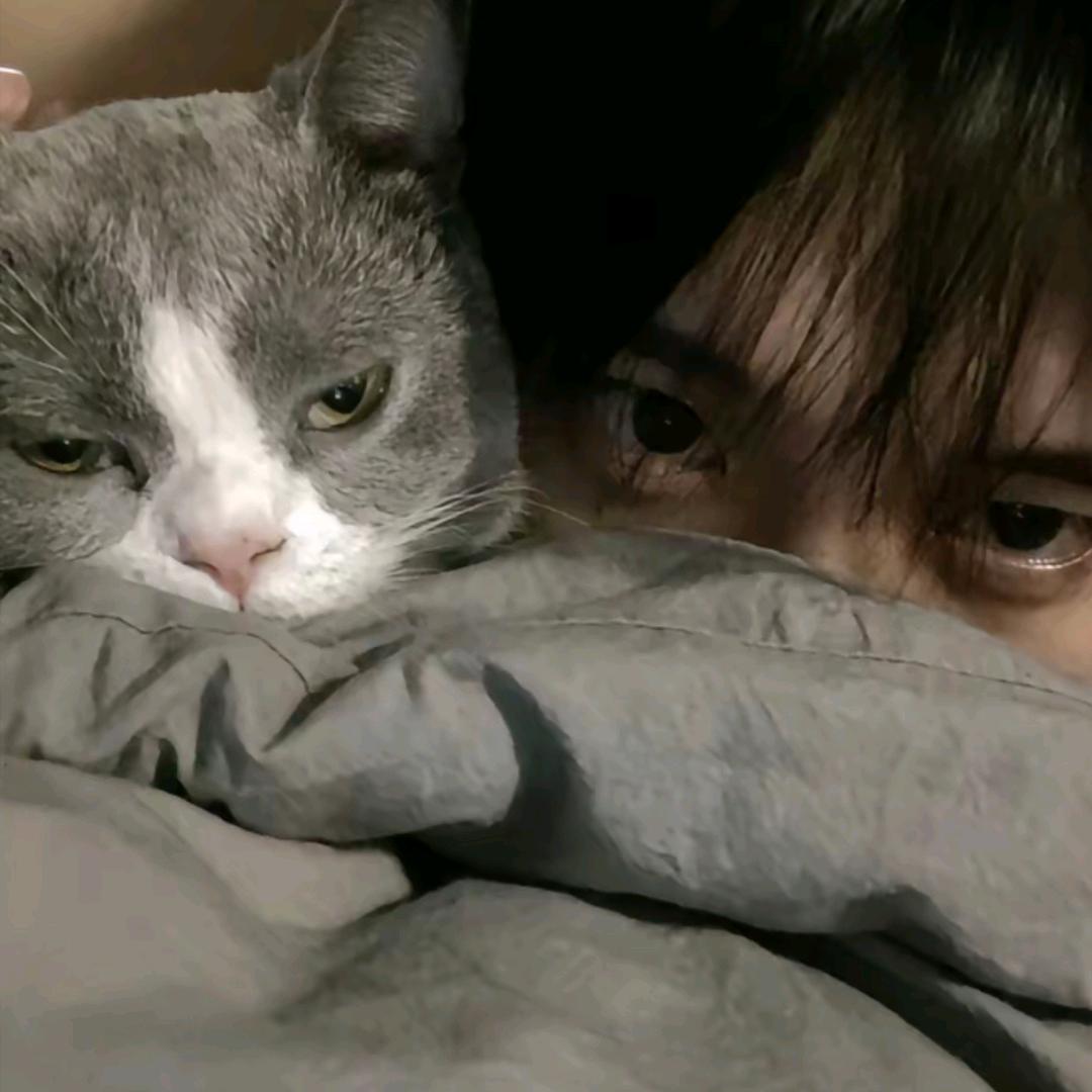 零碎十一°