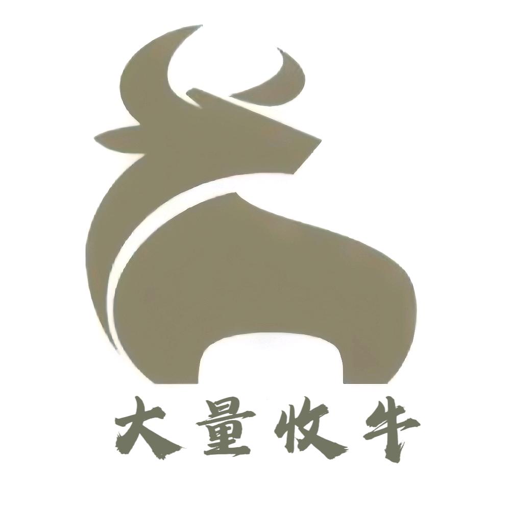 闯闯