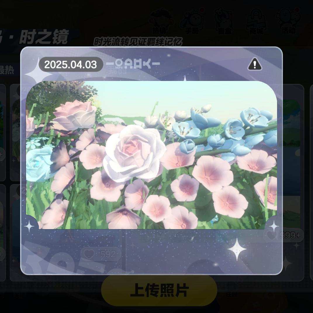 芒果