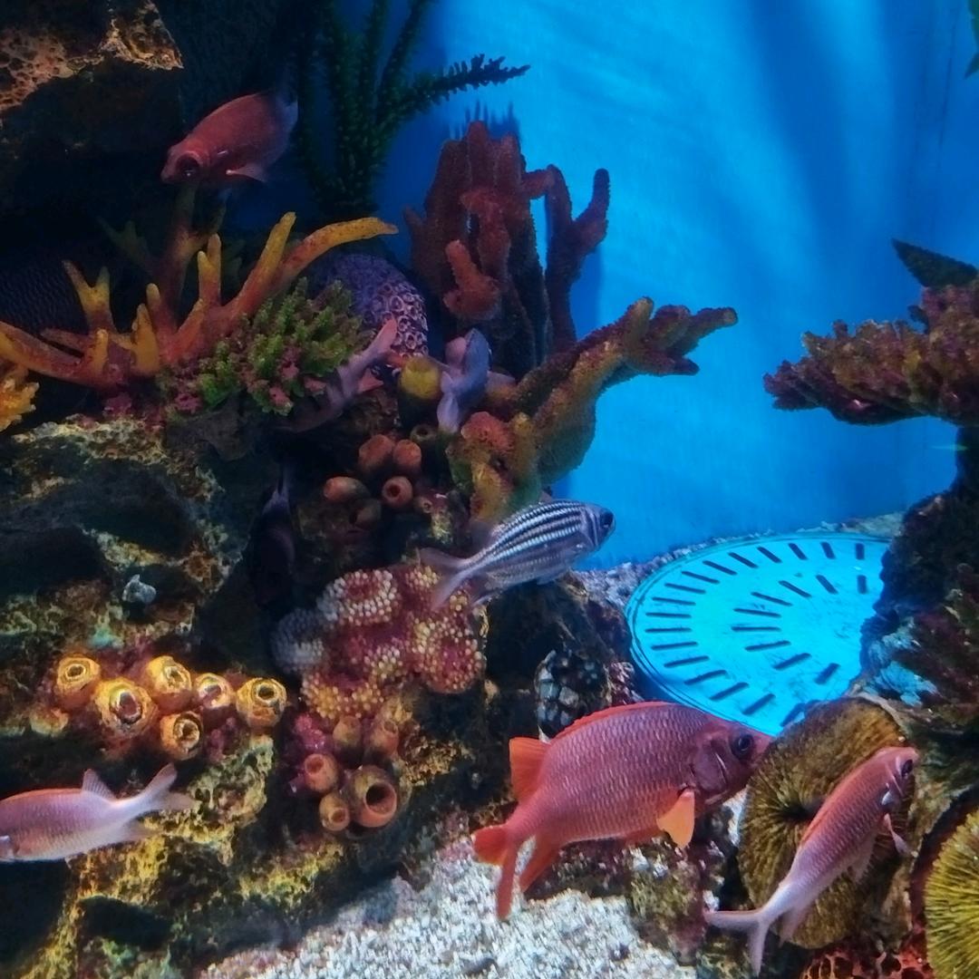 厂神联合派遣(进厂私信)