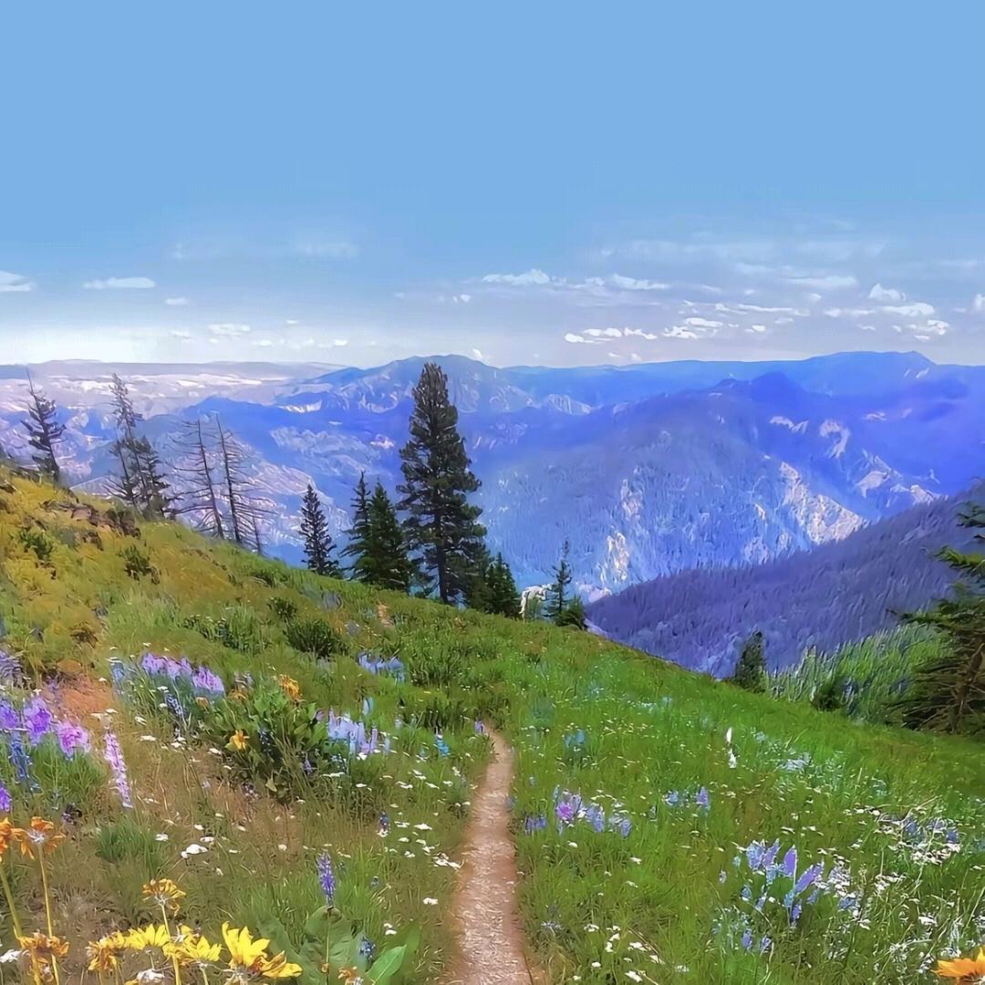 用户8801241610819海英