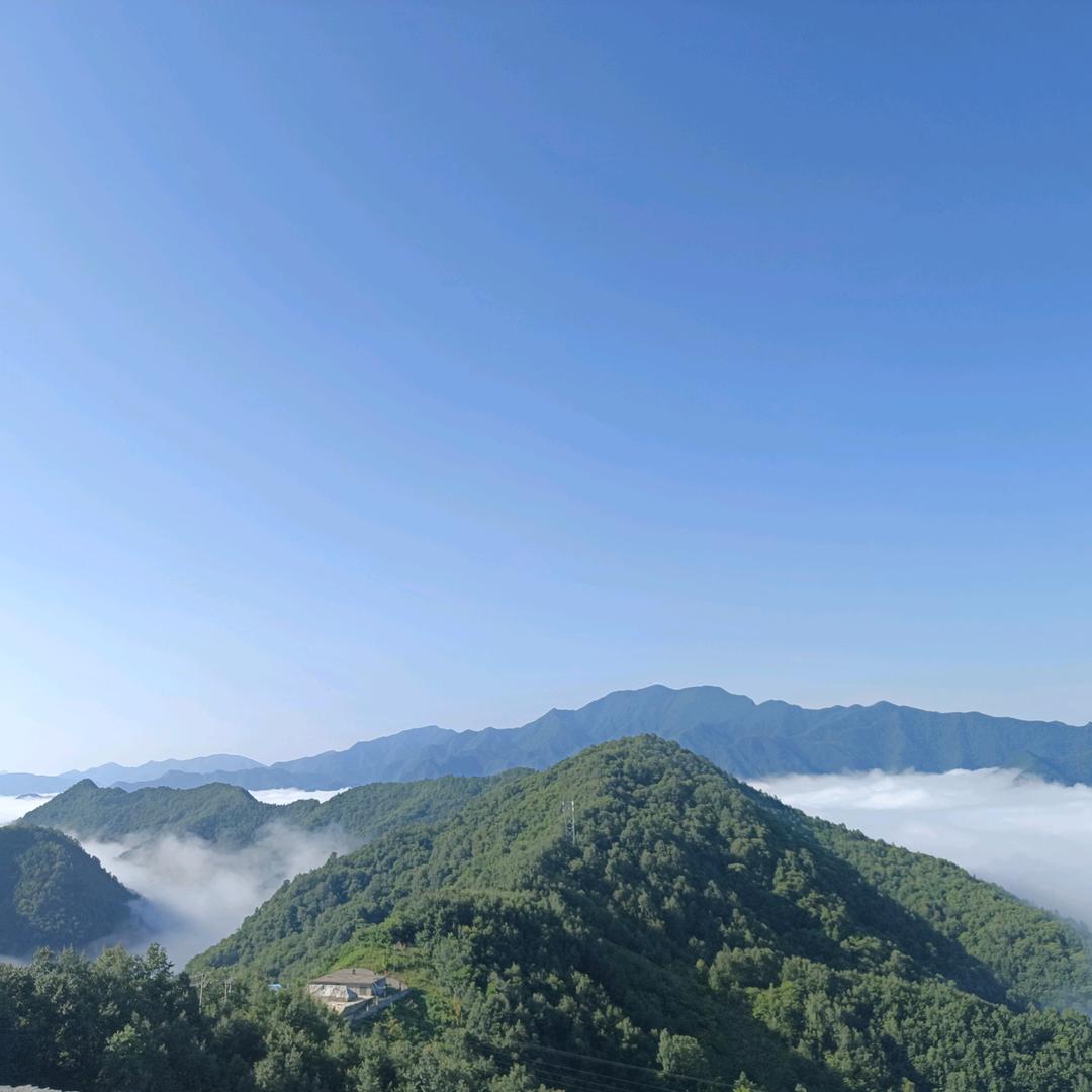 小张先生_