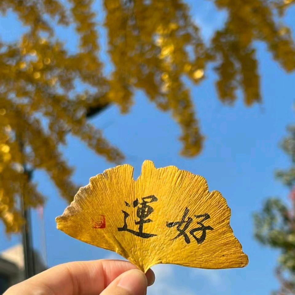 博鑫商贸