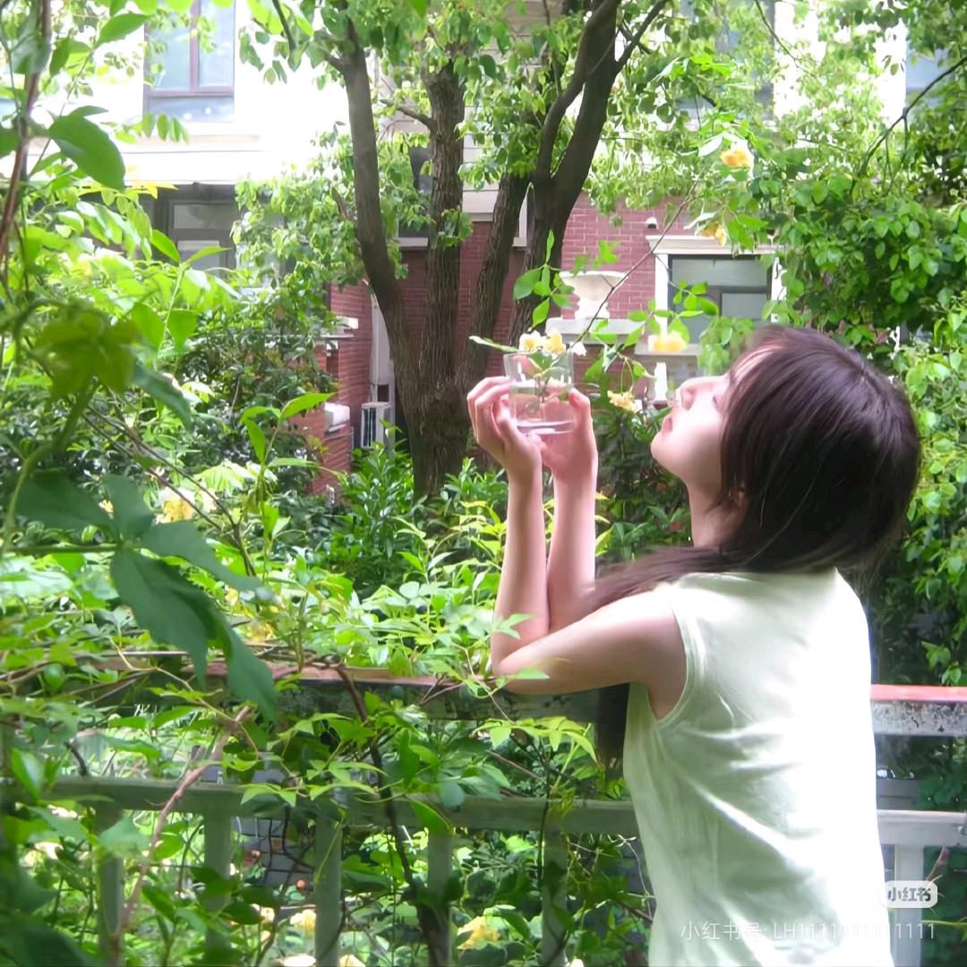 芭乐果