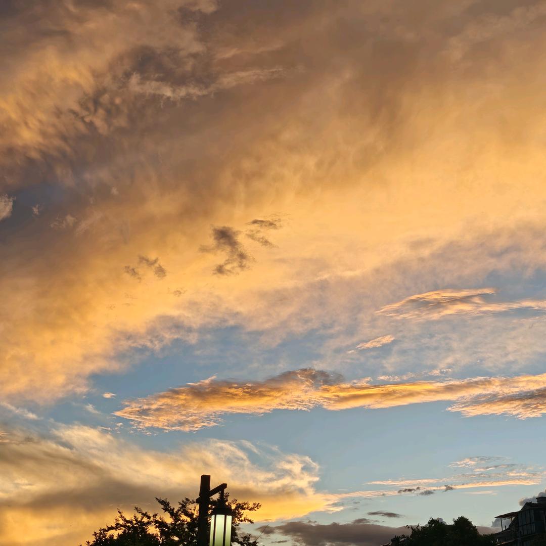 谁也不懂我的心