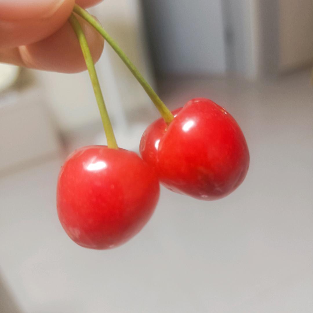 虎子+小马