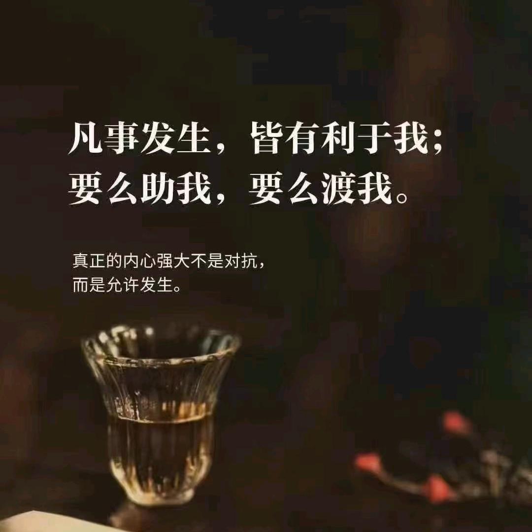 寻他（首播筹备中）