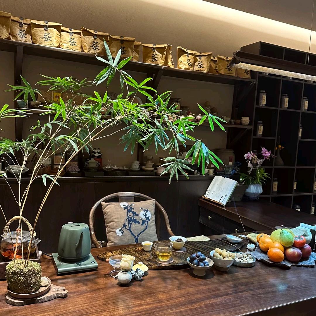 向僵尸开炮-初三（天启广告传媒）