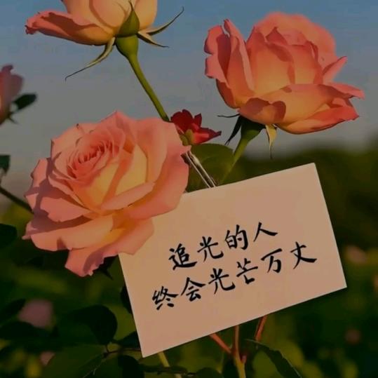 哥.你是哪个呢哥