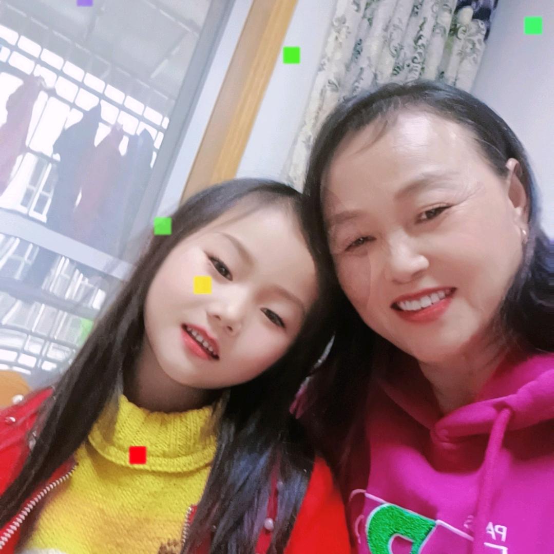 北雁南飞